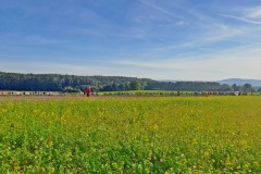10.-Karpfenweiherlauf-Moehrendorf-2026-BAYERISCHE-LAUFZEITUNG-22