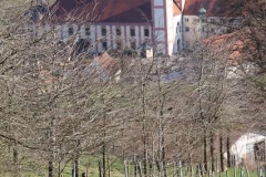 Stampfl Berglauf Au am Inn 2018 BAYERISCHE LAUFZEITUNG (127)