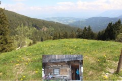 40.-Stoisseralm-Berglauf-Anger-2026-BAYERISCHE-LAUFZEITUNG-26
