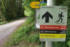 50.-Koasamarsch-Ebbs-in-Tirol-2019-Start-und-Ziel-BAYERISCHE-LAUFZEITUNG-119