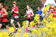 Alleelauf-Mettenheim-2026-BAYERISCHE-LAUFZEITUNG-140