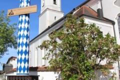 Alleelauf-Mettenheim-2026-BAYERISCHE-LAUFZEITUNG-50