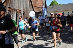 Beratzhausen-Ehrenfelslauf-2025-22