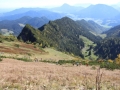 Hochfelln-Berglauf-2019-BAYERISCHE-LAUFZEITUNG-73
