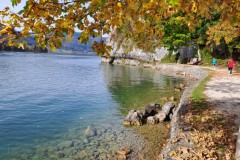 2025-10-Wolfgangseelauf-2025-©BAYERISCHE-LAUFZEITUNG-21