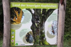 Karpfenweiherlauf-2025-BAYERISCHE-LAUFZEITUNG-34
