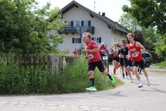 Mettenheimer-Alleelauf-2025-Erwin-Fladerer-107