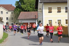 Mettenheimer-Alleelauf-2025-Erwin-Fladerer-125
