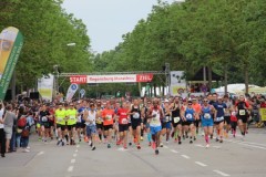 Regensburg-Marathon-2023-5