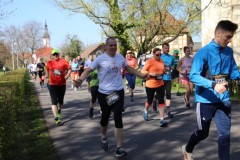 Spreewald-Marathon-2022-BAYERISCHE-LAUFZEITUNG-45