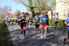 Spreewald-Marathon-2022-BAYERISCHE-LAUFZEITUNG-46