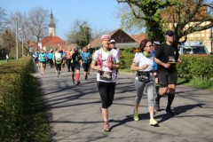 Spreewald-Marathon-2022-BAYERISCHE-LAUFZEITUNG-49