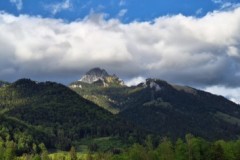 Teams-in-Bewegung-2026-BAYERISCHE-LAUFZEITUNG-2