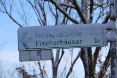 Winterlaufserie-Ismaning-01.2026-BAYERISCHE-LAUFZEITUNG-6